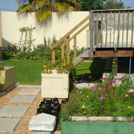 Disa Lodge Darling Bagian luar foto